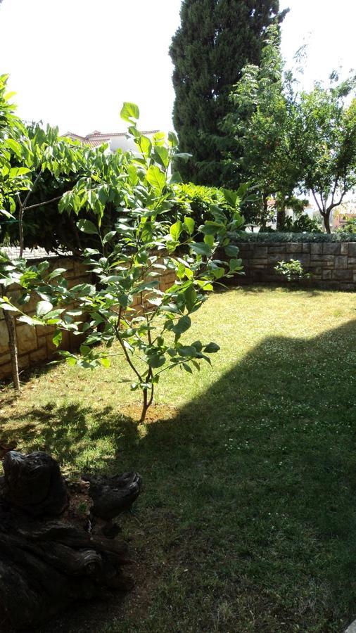 Studio Apartments Ana Rovinj Dış mekan fotoğraf
