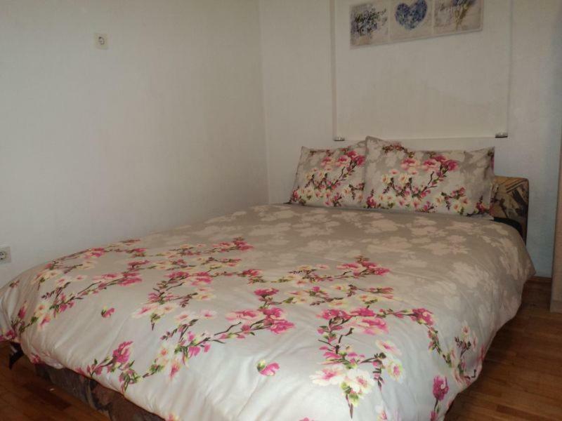 Studio Apartments Ana Rovinj Dış mekan fotoğraf